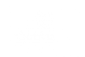logo_twiga_resort_white